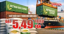 Xuất khẩu gạo 7 tháng năm 2026 đạt 5,49 triệu tấn, thu hơn 2,6 tỉ USD