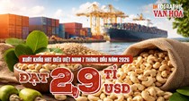 Xuất khẩu hạt điều Việt Nam đạt 2,9 tỉ USD, Trung Quốc dẫn đầu