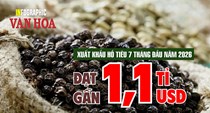Hồ tiêu Việt Nam thu gần 1,1 tỉ USD sau 7 tháng, tăng 11,1% so với cùng kỳ