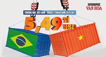 Việt Nam - Brazil: Xuất khẩu tăng 42%, thương mại đạt 5,49 tỉ USD