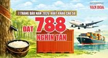 Xuất khẩu cao su 7 tháng đầu năm 2026: Gần 1,55 tỉ USD, Trung Quốc dẫn đầu