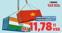 Việt Nam xuất siêu hơn 2,17 tỉ USD sang Ấn Độ sau 7 tháng