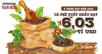 Bán nhiều cà phê hơn, Việt Nam vẫn thu về ít tiền hơn