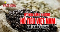 Mỹ mua gần 1/4 lượng hồ tiêu Việt Nam xuất khẩu 8 tháng