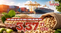 Xuất khẩu hạt điều đạt 3,37 tỉ USD dù lượng giảm 0,9%