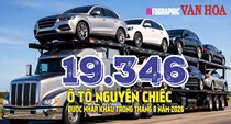 19.346 ô tô nhập khẩu tháng 8: Lượng xe bất ngờ giảm 30,1%