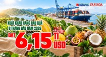 Ai đã chi 3,87 tỉ USD mua rau quả Việt Nam sau 8 tháng?