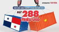 Panama chi 288 triệu USD mua hàng Việt, giày dép dẫn đầu