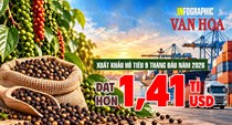 1,41 tỉ USD xuất khẩu hồ tiêu: Mỹ đang hút hàng Việt ra sao?