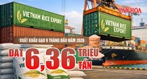 Xuất khẩu gạo: Kim ngạch giảm nhanh hơn sản lượng