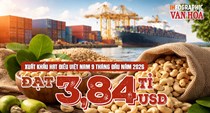 Trung Quốc mua gần 1 tỉ USD hạt điều Việt Nam, tăng 20,9%