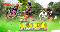 (Emagazine) Vùng mận Phiêng Khoài níu chân du khách bằng bản sắc văn hóa các dân tộc