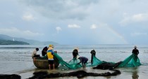 Xem ngư dân kéo lưới rùng bắt cá ở biển Đà Nẵng