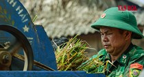 Mùa vàng nơi biên giới
