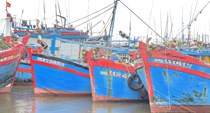Bảo đảm an toàn cho tàu cá tại nơi tránh trú bão Fengshen