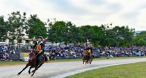 Mãn nhãn với Giải đua ngựa hàng tuần Bắc Hà