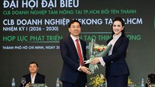 Hoa hậu Phan Thị Mơ làm Phó Chủ tịch CLB Doanh nghiệp Mekong TP.HCM