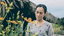 NSƯT Hạnh Thúy lập thành tích với 6 phim trăm tỉ liên tiếp