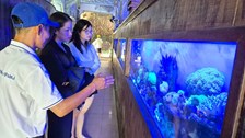 Kỳ thú Thủy cung Trí Nguyên trên vịnh Nha Trang