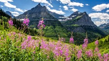 Canada: Miễn phí tham quan công viên quốc gia, giảm giá tàu hỏa để hút khách du lịch