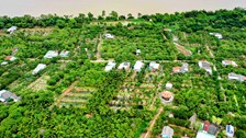Về cồn Mỹ Phước dự Ngày hội Sông nước miệt vườn