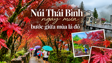 Núi Thái Bình ngày mưa, bước giữa mùa lá đỏ