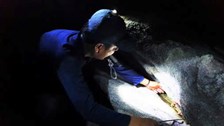 Cù Lao Chàm: Từ “săn” cua đá đến khai thác văn minh