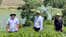 Thái Nguyên tôn vinh văn hóa trà qua hành trình trải nghiệm