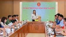 Festival Trà Quốc tế Thái Nguyên 2026 vào chặng nước rút