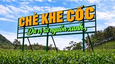 Thái Nguyên bắc nhịp cầu đưa hương trà đến Festival Trà Quốc tế
