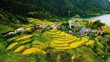 Ngọc Chiến mùa vàng, điểm check-in hấp dẫn dịp Quốc khánh 2.9