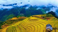 Lào Cai hướng tới xây dựng hệ sinh thái du lịch thông minh