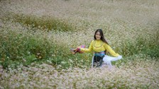 Lũng Cú sẵn sàng đón du khách mùa hoa tam giác mạch