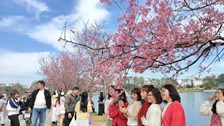 Lâm Đồng: Du lịch từng bước khẳng định vị thế ngành kinh tế chủ đạo 