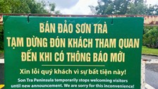 Đà Nẵng: Tạm dừng tham quan bán đảo Sơn Trà để đảm bảo an toàn