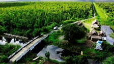 Cà Mau phát triển 6 tuyến du lịch tại Vườn Quốc gia U Minh Hạ