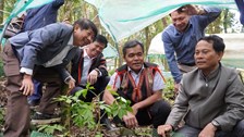 Đánh thức giá trị dược liệu, mở rộng không gian du lịch Quảng Ngãi