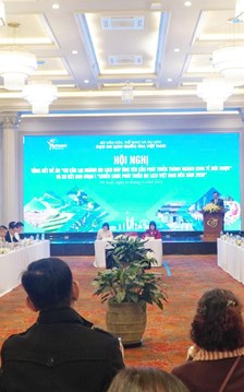 Nhiều kết quả khi cơ cấu lại du lịch Việt Nam để phát triển thành ngành kinh tế mũi nhọn