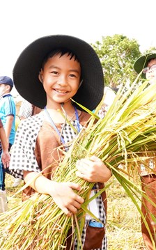 Rộn ràng “Sắc Quê Mộ Đức” – Lễ hội Ngày mùa 2026 đậm đà bản sắc nông thôn