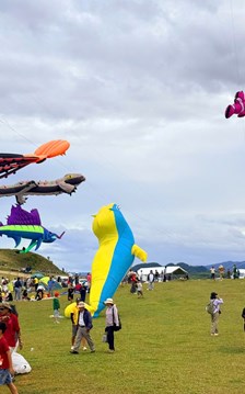 Rực rỡ sắc màu trên thảo nguyên Bùi Hui, hút du khách trải nghiệm