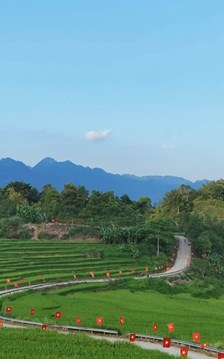Tò mò vốn dĩ là bản tính của con người