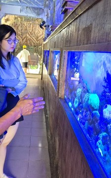 Kỳ thú Thủy cung Trí Nguyên trên vịnh Nha Trang