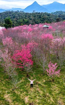 Điểm hẹn văn hóa - du lịch đầu xuân của Điện Biên