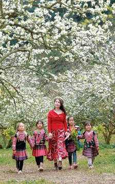 Mộc Châu - Hẹn ước mùa hoa