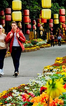 Việt Nam nổi lên trong nhóm điểm đến được du khách Pháp quan tâm nhất