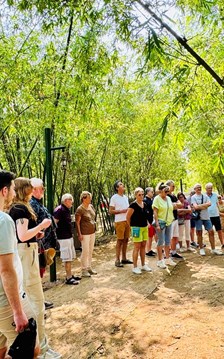 Du lịch Việt Nam giữ nhịp tăng trưởng ổn định trong thế giới biến động bất định