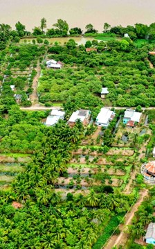 Về cồn Mỹ Phước dự Ngày hội Sông nước miệt vườn
