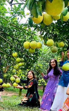 Phát triển du lịch nông thôn gắn với cây ăn quả chủ lực