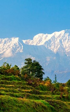 Nepal phát tín hiệu kêu gọi du khách trở lại sau thảm họa