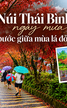 Núi Thái Bình ngày mưa, bước giữa mùa lá đỏ